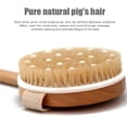 thumbnail image 2 of 1pc Body Shower Brush Exfoliator Brush with Massage Nodes Removable Wood Handle, 2 of 8