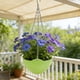 thumbnail image 1 of CaiYueKe Self Watering Hanging Planter with Drainage Holes and Chain, Plastic Plant Pots for Indoor Outdoor Garden, Flower Pot Container for Succulents Herbs, 1 of 7