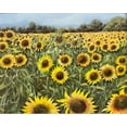 thumbnail image 2 of Guido Borelli "Il Campo di Girasoli" Signed Original Oil Framed Art Sunflower Generic, 2 of 5