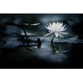 thumbnail image 2 of Suzuki, Takashi 18x13 White Modern Wood Framed Museum Art Print Titled - Reflection, 2 of 4