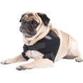 thumbnail image 2 of Caldera Pet Therapy Shoulder Wrap with Therapy Gel, Small, 2 of 5