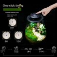 thumbnail image 2 of Timing Full Spectrum Plant Lamp Micro Landscape Plant Growth Lamp Shade Plant Glass Flower, 2 of 7