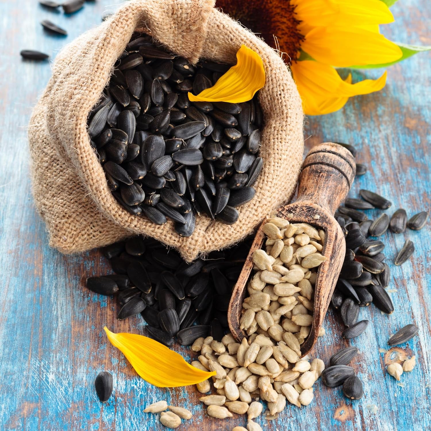 We Got Nuts Roasted Sunflower Seeds, Unsalted and Unshelled Seeds in Resealable Pouch, Kosher, 4 lb, 64 oz