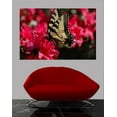 thumbnail image 2 of Guernsey Butterfly I Wall Decal, 2 of 2