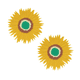 thumbnail image 1 of Almohadilla de aislamiento térmico antiescaldado, tapete de mesa impermeable, posavasos, tapete para platos domésticos, mantel individual de girasol, tapete para cuenco (2 piezas) ER, 1 of 5