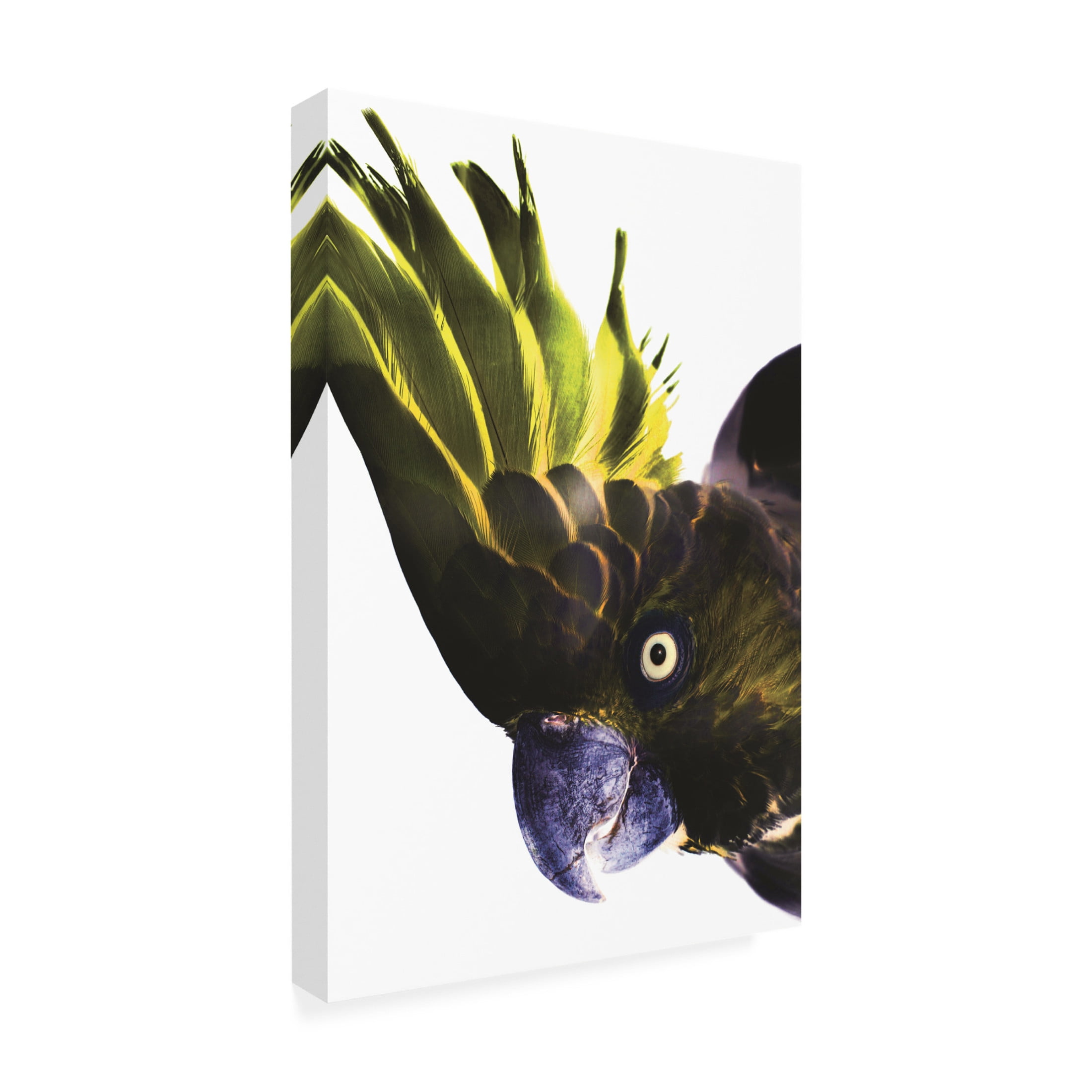 Trademark Fine Art Shot by Clint Punk Rocker Canvas Wall Art