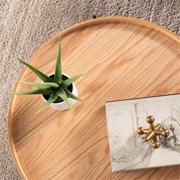 Southern Enterprises Verlington Wood and Iron Cocktail Table in Natural