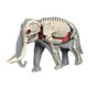 thumbnail image 5 of Material didáctico: Modelo de cuerpo animal, partes de órganos, herramienta educativa, rompecabezas. 3109, 5 of 9
