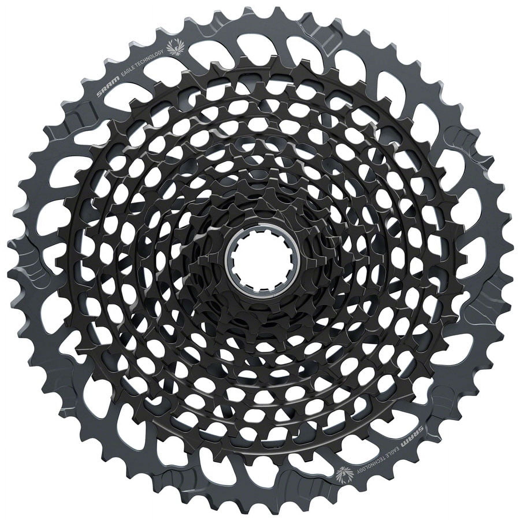 Campagnolo Record Cassette, 10 Speed, 13-29 - Walmart.com