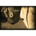 thumbnail image 2 of Posterazzi DPI1777340LARGE A Close-Up of A Cowboy Boot Heel & Spur Poster Print by Carson Ganci, 34 x 22 - Large, 2 of 4