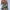 Green, variant on BONIXOOM One Piece Swimsuit Women Underwire Elastic Printed Bikinis Bikini Summer Swimwears on Clearance White Size 4