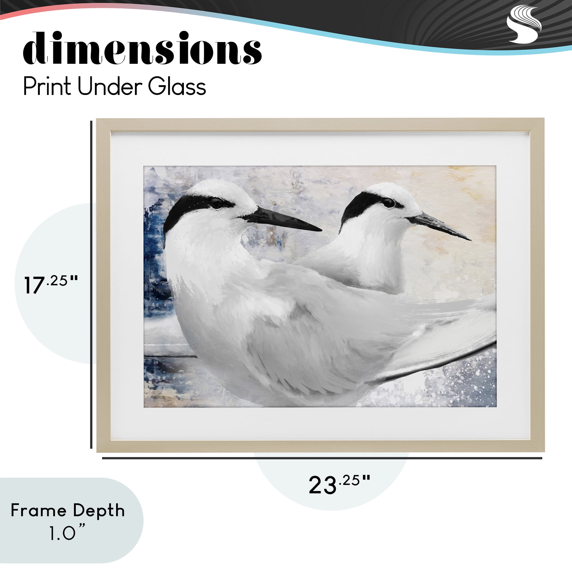 Stupell Industries Black Naped Tern Birch Framed Print Under Glass, design by Porter Hastings