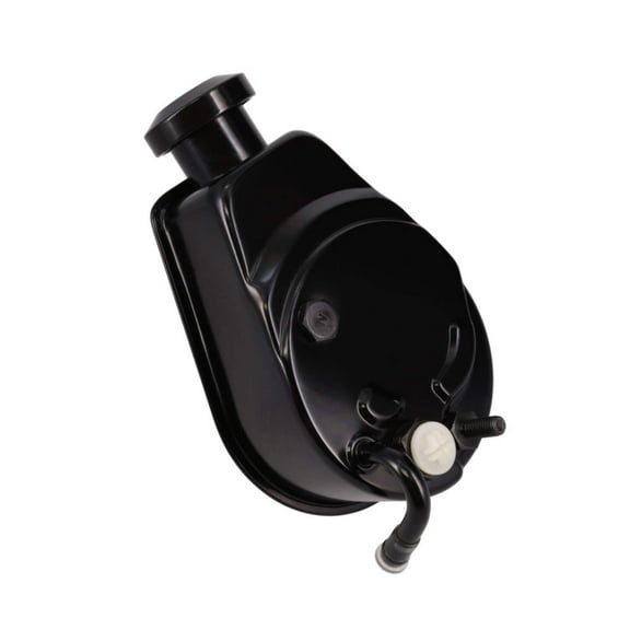 Saginaw P Series Power Steering Pump for GM - Black