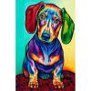 thumbnail image 1 of Wdftyju 5D bricolaje completo taladro cuadrado diamante pintura color perro punto de cruz bordado Wdftyju 2sq6wt6qj6tn3nm4, 1 of 9