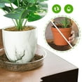 thumbnail image 5 of 10 Pcs 6 inch Clear Plastic Plant Saucers Flower Pot Drip Trays Garden, 5 of 9