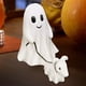 thumbnail image 5 of Guardurnaity Decoración de Halloween, estatua de perro que camina Gh Ost de resina sólida para decoración del hogar, durabilidad sólida hecha a Disfraces de disfraces B, 5 of 6