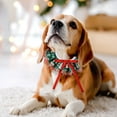 thumbnail image 4 of Festive Holiday Pet Neck Scarf Dress Up Accessory for Cats and Dogs with Adjustable Collar Design, 4 of 5