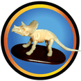 thumbnail image 5 of Dinosaur Fossil Dig Set with tools, 6 styles, child ages 3 and up, by Way to Celebrate, 5 of 8