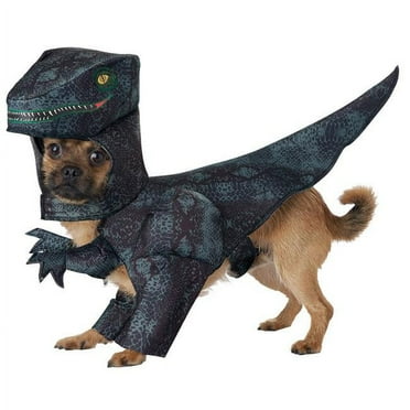 Pupasaurus Rex Dog Costume - Medium