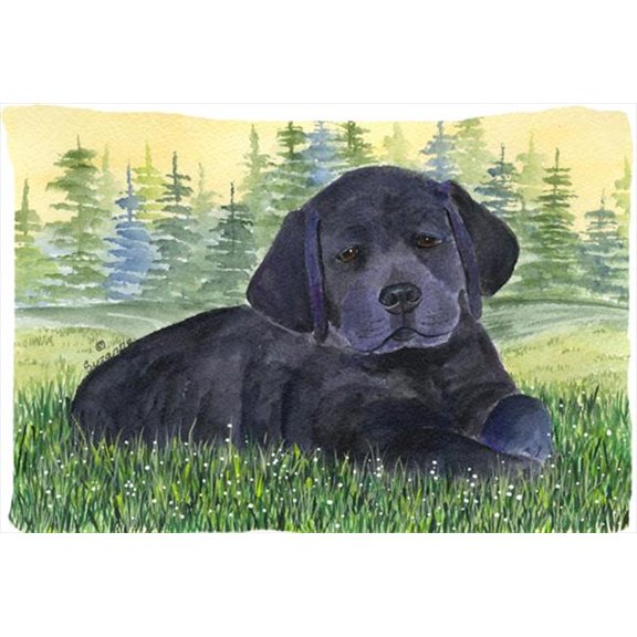 20.5 x 30 in. Labrador Moisture Wicking Fabric Standard Pillowcase