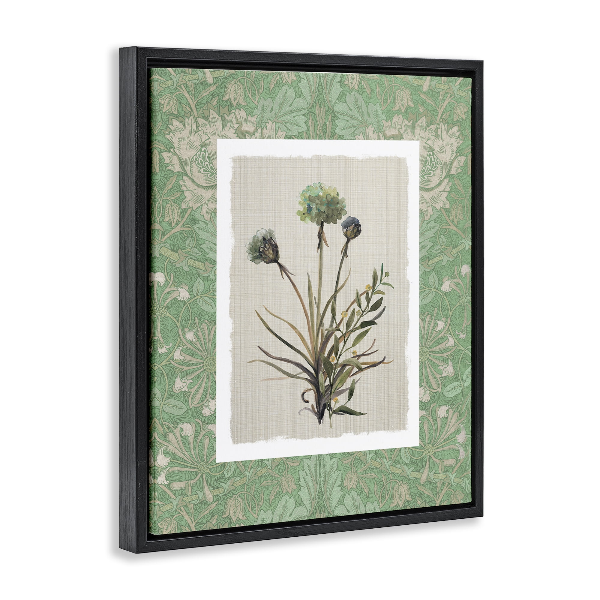 Stupell Industries Vintage Foliage in Green Black Framed Floater Canvas Wall Art, design by Carol Robinson