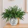 thumbnail image 6 of TETOU 6Pcs Norfolk Pine Branches with Pine Cones, 17.8"/45cm Artificial Xmas Norfolk Pine Branches for Christmas Indoor Outdoor Home Decor, 6 of 6