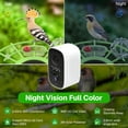 thumbnail image 4 of BN-LINK Bird Feeder with Camera,Smart Bird Feeder, 2K HD AI Identify Birds Species, Outdoor Bird Feeder with 3W Solar Panel, 1.5L Capacity,Green, 4 of 6