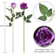 thumbnail image 2 of YZhouD - Ramo de 12 rosas artificiales de seda de tallo largo para decoración del hogar, bodas y fiestas (12 unidades, color negro), 2 of 7