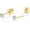 Gold-4mm, variant on Titanium Earrings Push-in Threadless Flat Back Stud Earrings for Women Men, Cartilage Earring Hypoallergenic Cubic Zirconia Earrings Studs for Helix Tragus Piercing Jewelry[t1789]