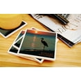 thumbnail image 3 of Bonaire, Dutch Caribbean, Heron and Sunset (Absorbent Ceramic Coasters Set of 4 Matching Images, Cork Back, Kitchen Table Decor), 3 of 3