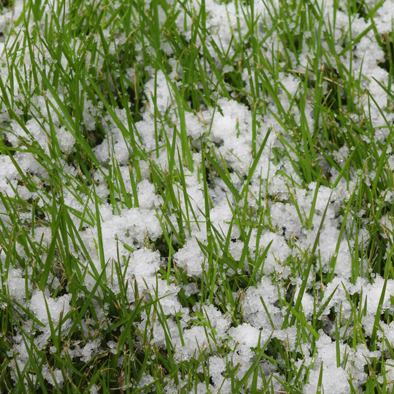 Artificial Snowflakes Fake Magic Instant Snow Festival Party Decorations For Christmas Wedding