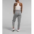thumbnail image 3 of Pantalón THE NORTH FACE Alpine Polartec® 100 para Mujer - Gris, 3 of 5