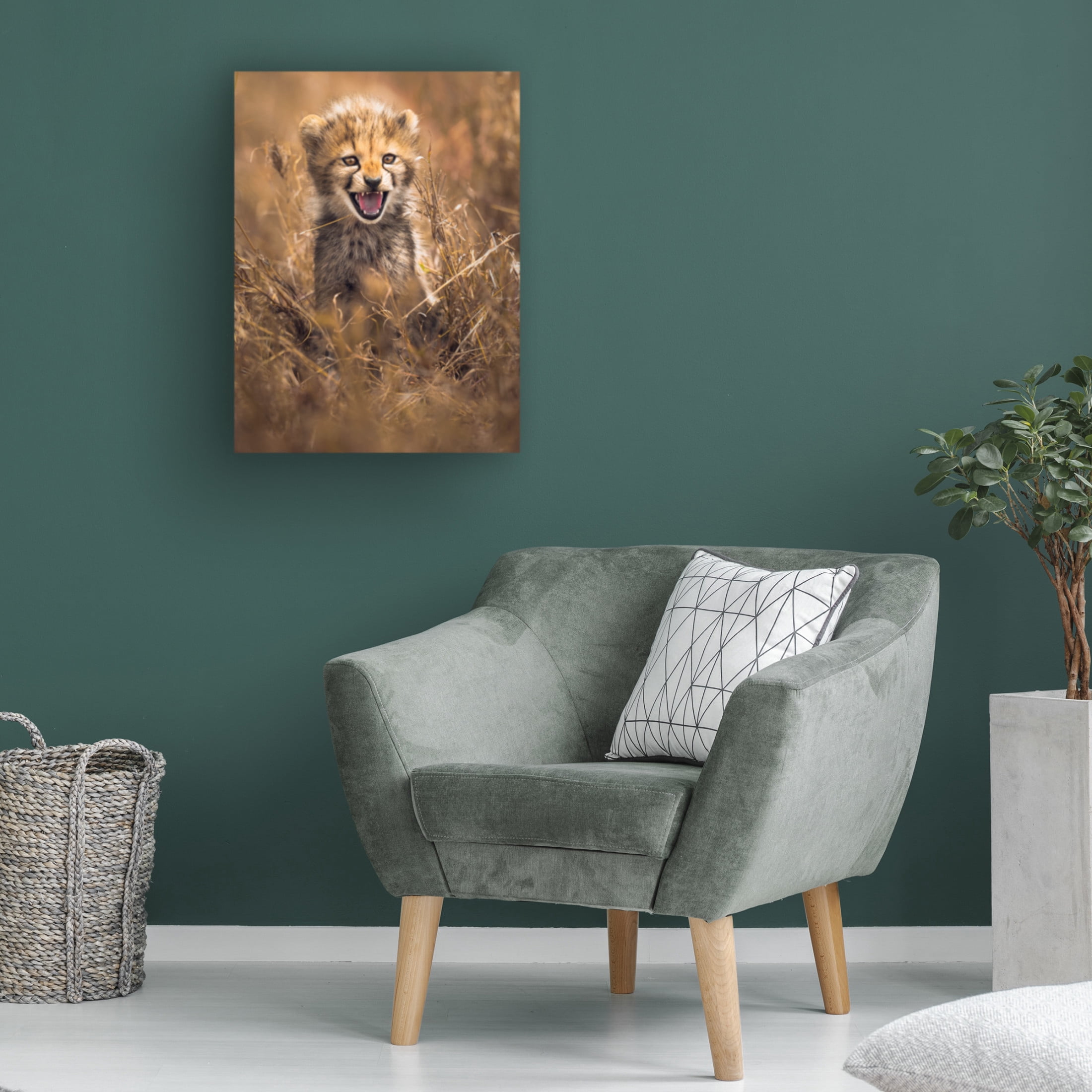 Trademark Fine Art Ahmed Sobhi Big Smile Canvas Wall Art