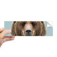 thumbnail image 1 of Giant Brown Bear Animal Rectangle Bumper Sticker Notebook Window Decal, 1 of 1