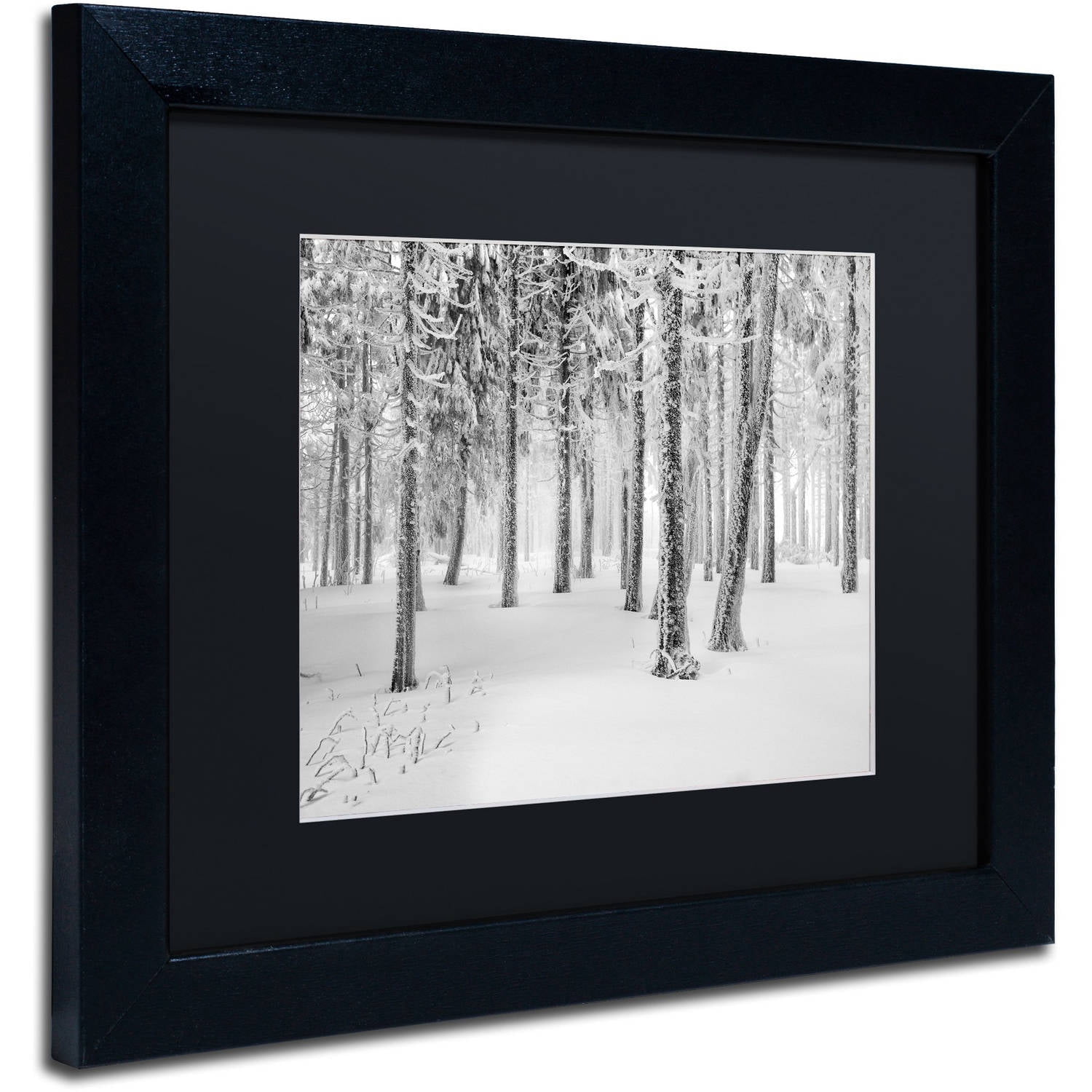 Trademark Fine Art "Frozen World" Canvas Art by Philippe Sainte-Laudy, Black Matte, Black Frame