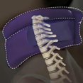 thumbnail image 2 of Cervicorrect Neck Brace, Cervicorrect Neck Brace by Healthy Lab Co, Cervical Neck Brace for Snoring, Neck Brace for Sleeping Soft Foam, Neck Brace for Neck Pain And Support for Women Men (Black), 2 of 5