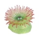 thumbnail image 3 of Sea Life Sea Anemone Party Favor Fish Tank Decoración Juguetes educativos Colección Sea Animal Figuras de animales para pequeños Kids Teaching a pequeña Hugo Vida marina simulada, 3 of 8