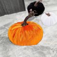 thumbnail image 6 of D-GROEE 2PCS Artificial Pumpkins Velvet Pumpkins Fall Harvest Halloween Decorations Holiday Table Decor Farmhouse Decorations for Home, 6 of 8