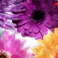 thumbnail image 3 of Villa, Mlli 20x20 Black Modern Framed Museum Art Print Titled - Look Flowers, 3 of 5