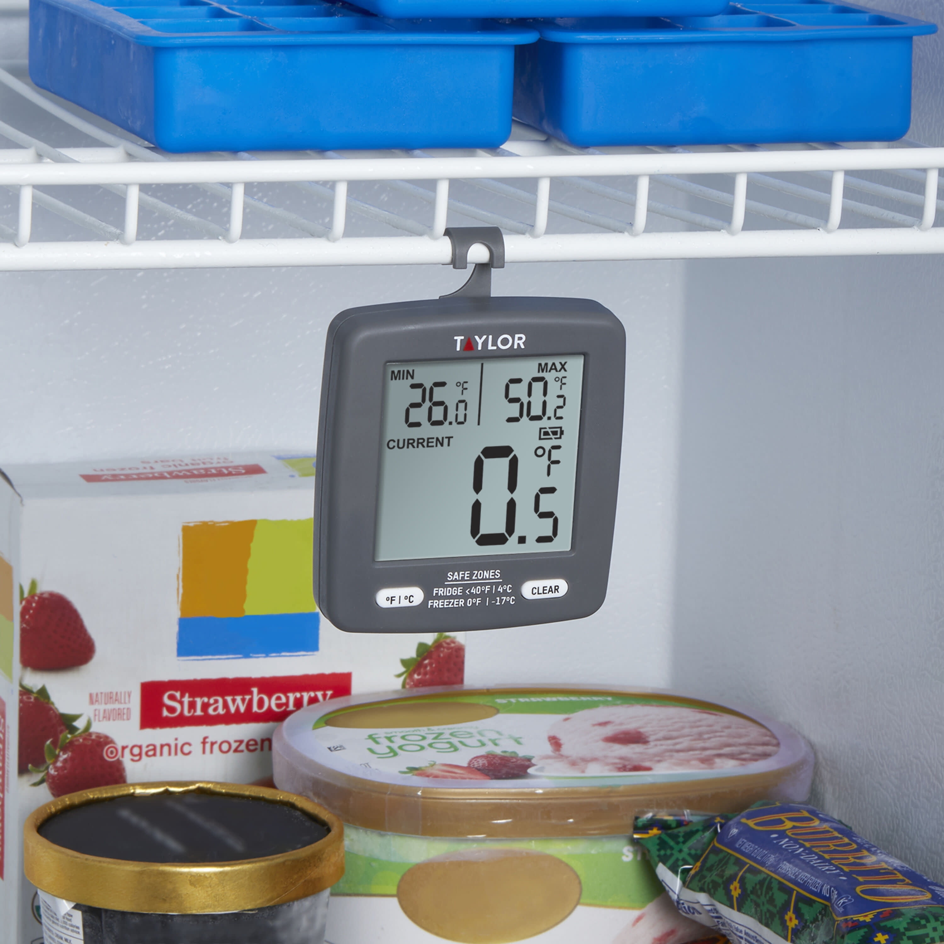 Taylor 3507FS Hanging 2-1/2 Refrigerator/Freezer Thermometer