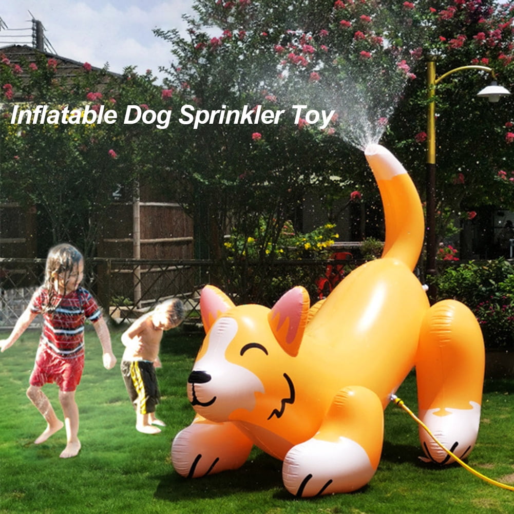 garden sprinkler toy