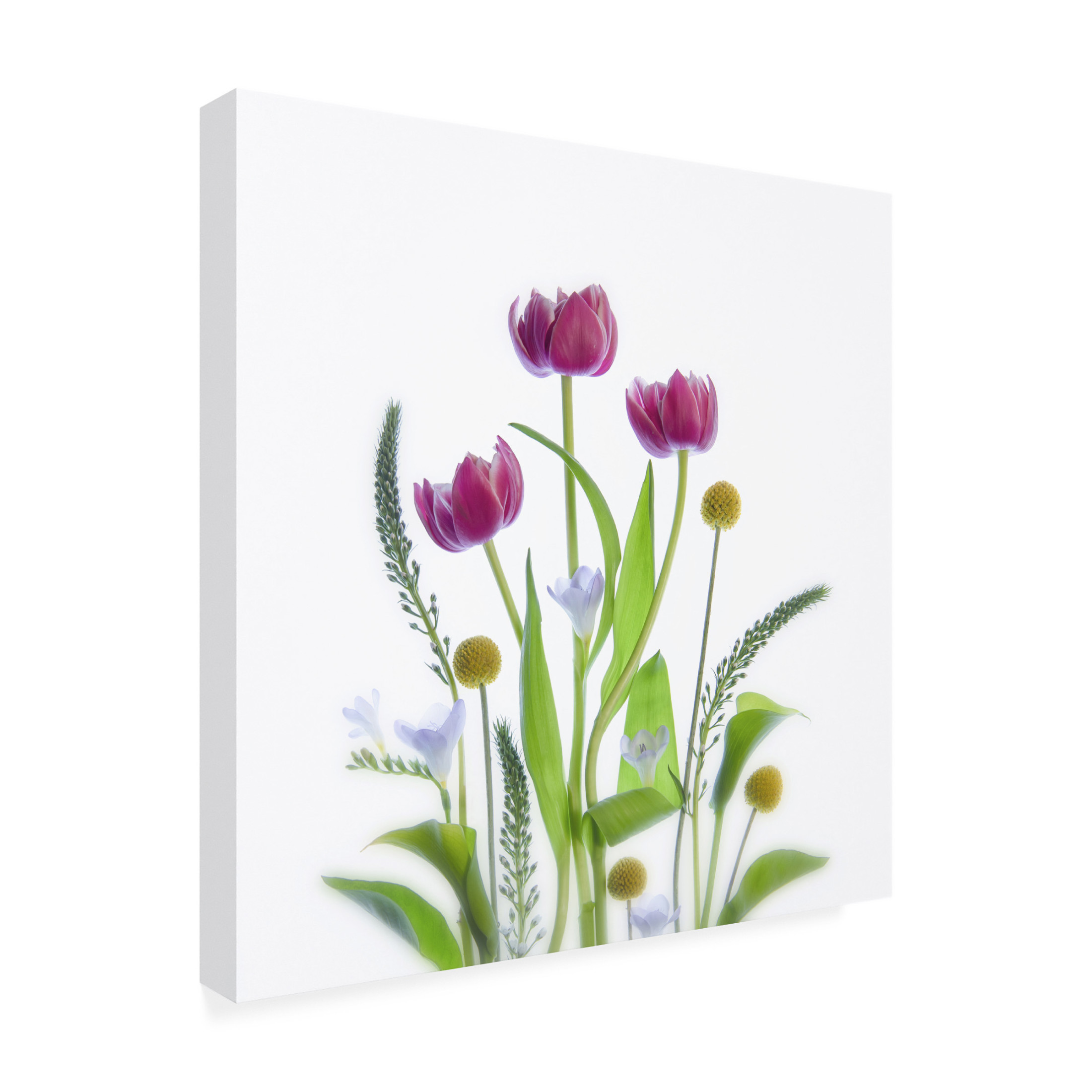 Canvas Wall Art - Catherine W 'Together' Wall Art for Living Room, Bedroom, or Office Décor by Trademark Fine Art - 35 x 35 Inches