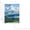 5, variant on 25 Pack 4" x 6" Rigid Print Protectors Rigid Picture Photo Sleeves Clear Hard Plastic Sheet Protectors Top-Loading Photocard Holders Page Sleeves for Paper, Photos, Postcards, Trading Cards