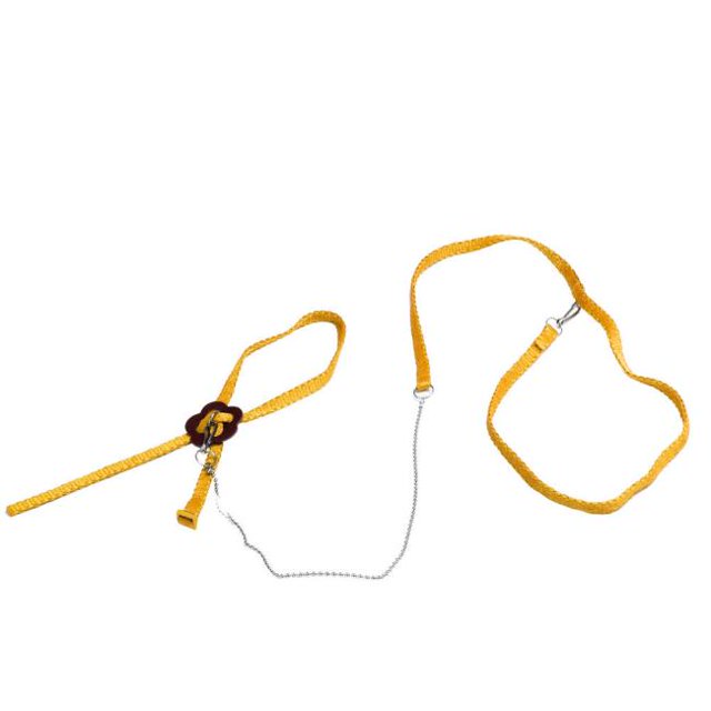 Daisyyozoid Wholesale Adjustable Reptile Lizard Harness Leash Adjustable Hauling Cable Rope YE