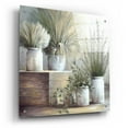 thumbnail image 2 of Epic Art 'Pretty Plants On Display' by White Ladder, Acrylic Glass Wall Art, 24"x24", 2 of 8