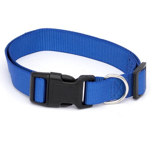 small dog collar walmart