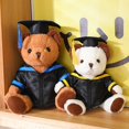 thumbnail image 4 of Peluche de Dr. Bear de alta calidad, 2 tamaños, suave, kawaii, regalo de graduación para niños y niñas., 4 of 6