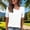 White, variant on Blczomt Womens Spring Tops Short Sleeve Purple Tunic Tee Lightweight Cute T Shirts for Women