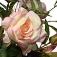 thumbnail image 3 of National Tree RAS-WDP002-1 22 in. Pink Roses in Ceramic Pot, 3 of 4