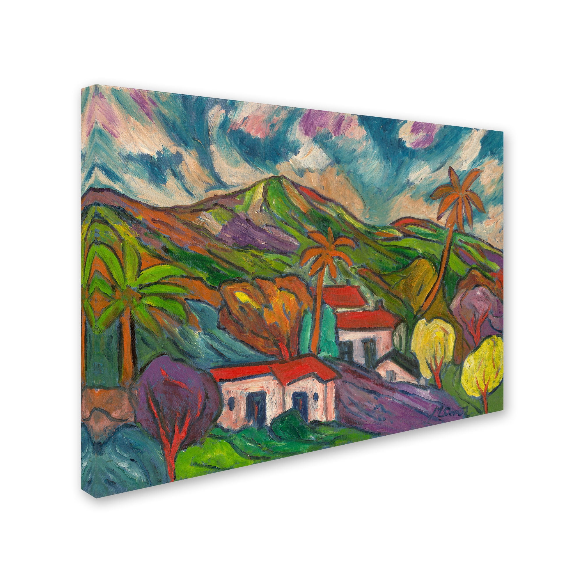 Trademark Fine Art "White a Sight" Canvas Art by Jennifer Lilya